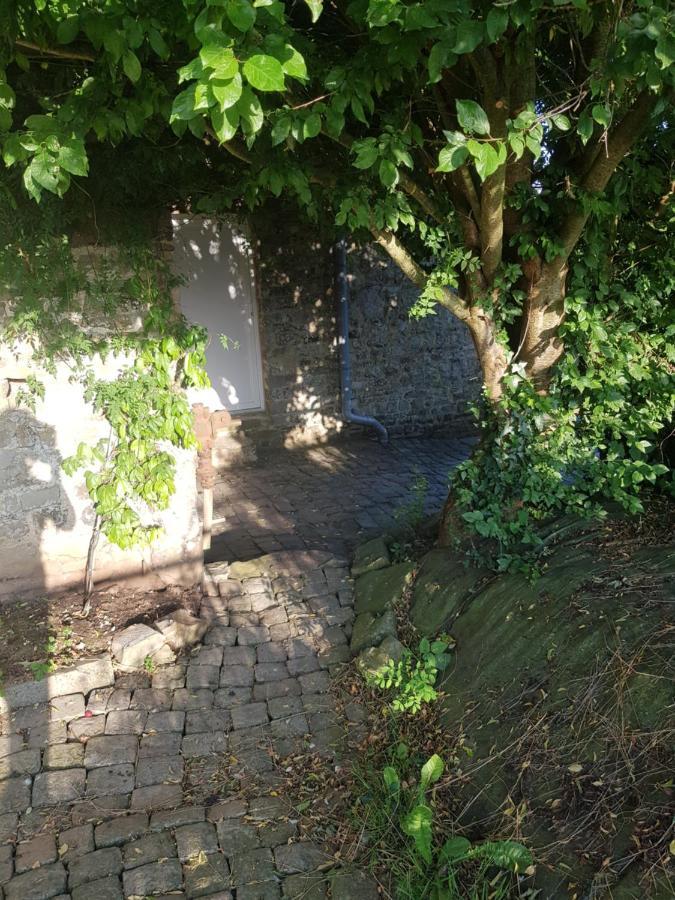 Elevage De La Hurie Saint-Nicolas-de-Pierrepont Exteriör bild